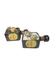 Load image into Gallery viewer, Anejo Succulent Planter Kit
